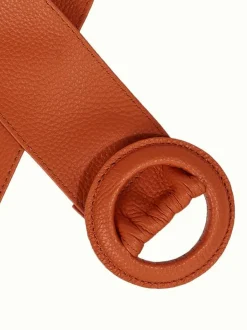 Wide Belt